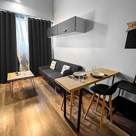 公寓 L'atelier Grenoblois Chic Et Confort 格勒诺布尔